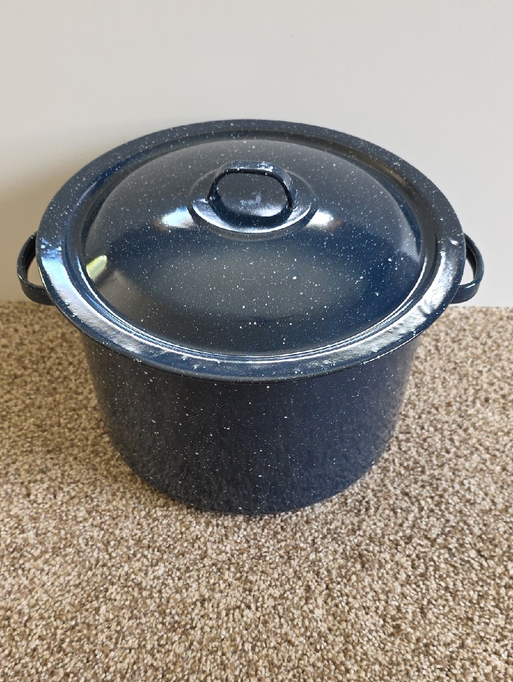 Speckled Blue Enamel Stock Pot with Lid